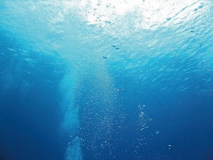 [屋久島18]海中で手釣り