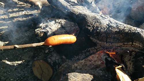 突発キャンプ！たき火の直火でワイルド焼き料理