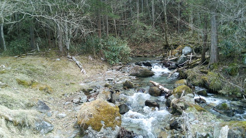 2日目 一ノ瀬本谷で釣り、丹波山でキャンプと温泉