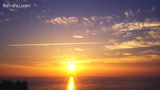 [クロスカブ夏旅6]日本海を北上 激ウマ岩ガキと素晴らしい夕陽